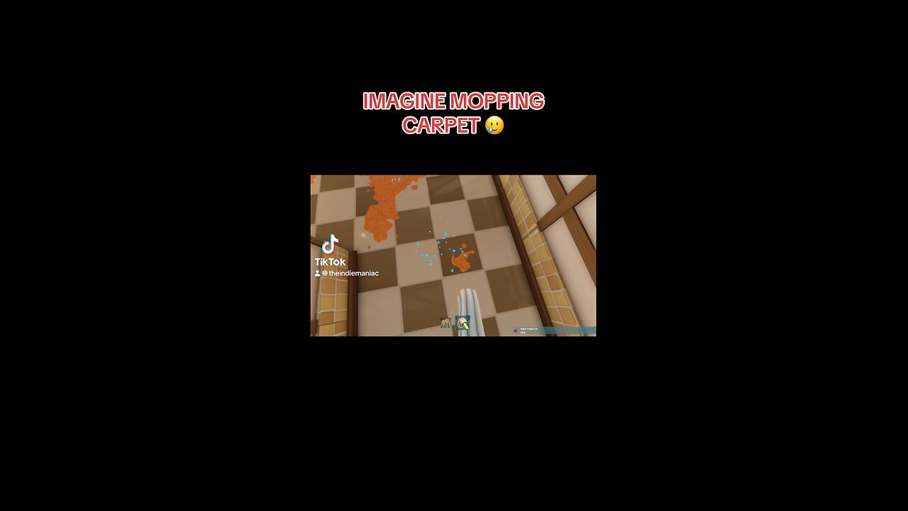 IMAGINE MOPPING A CARPET