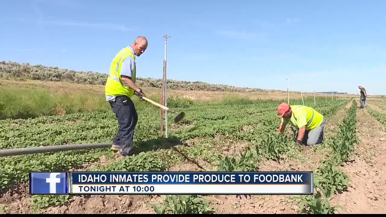 TEASE 2 : Prison program provides produce to Idaho Foodbank