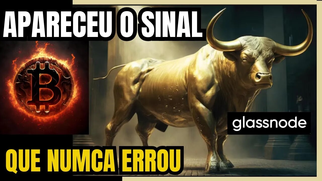 MVRV GLASSNODE DA SINAL HISTORICO DE PRE BULLMARKET