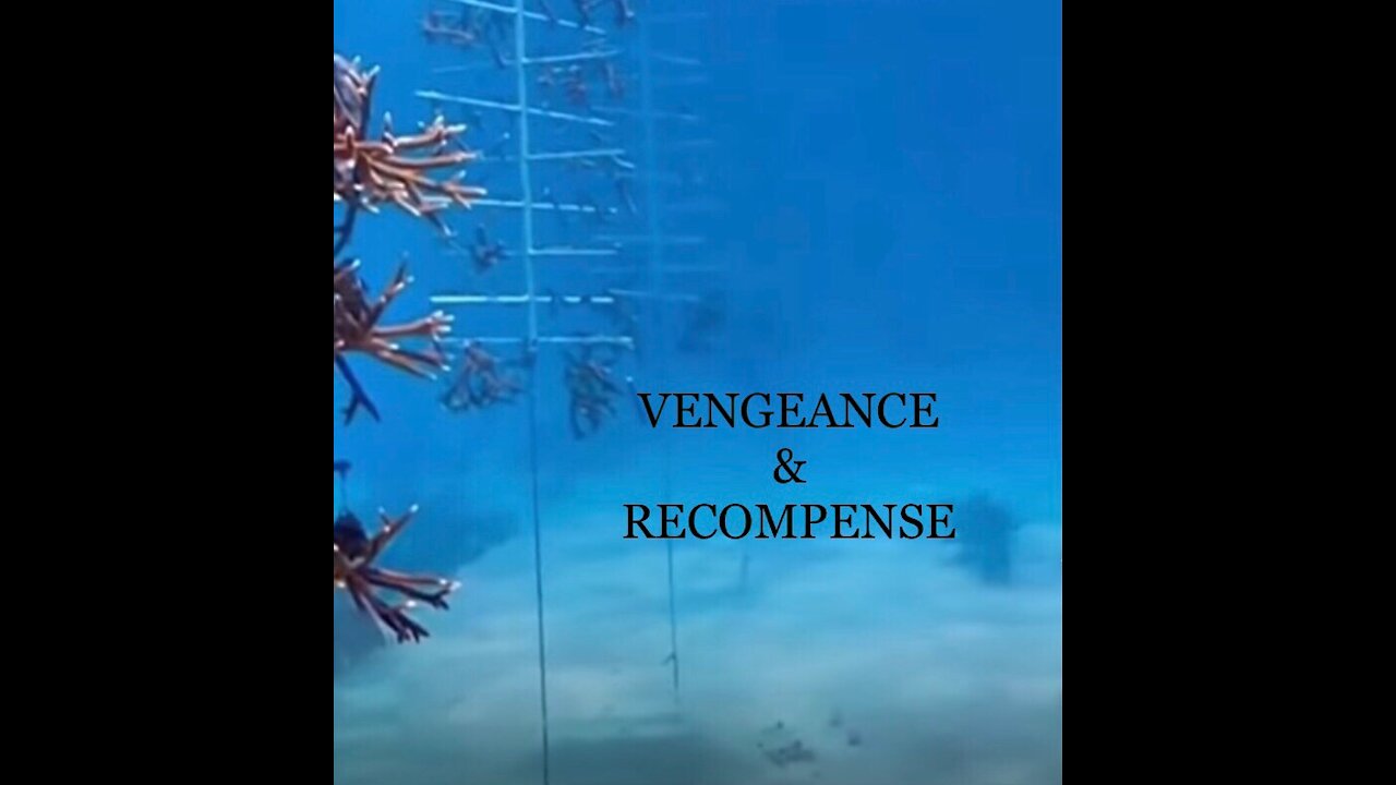 Vengeance & Recompense