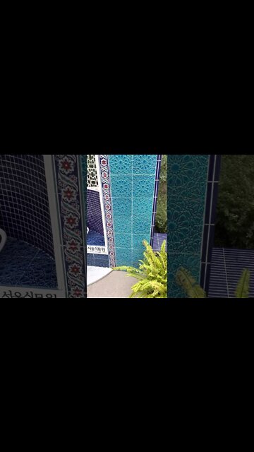 서울식물원 온실 튤립 꽃