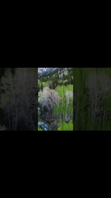 Nature gets me so hard sometimes #shorts