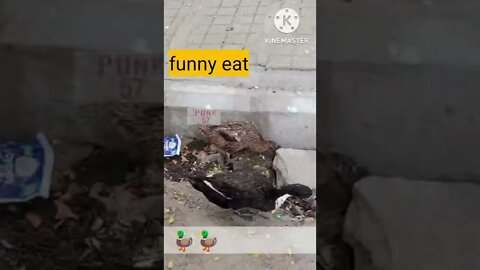 funny eat #photoediting #video