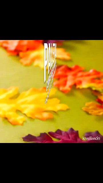 CHOCOLATE DIPPED APPLE SLICES