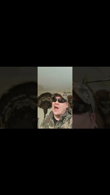 Can You Shoot A Deer?