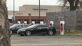 Blasian Babies DaDa Sees Diesel Powered Tesla EV's!