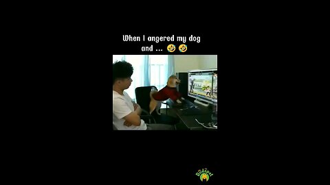 Dog playing Video Game suddenly disturbed by his owner 😂 see the reaction 😂😂😂😂 Funny video