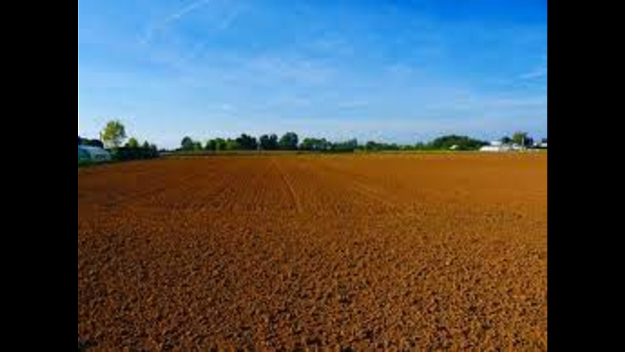 Empty Farmland For As Far as the Eye Can See