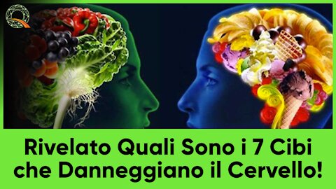 🧠🍲 Rivelati quali sono i 7 cibi che danneggiano il cervello!