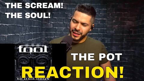 TOOL - The Pot (Reaction!) | These riffs and the call out of hypocrisy, I'm all for it