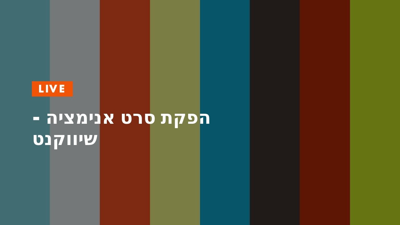 הפקת סרט אנימציה - שיווקנט