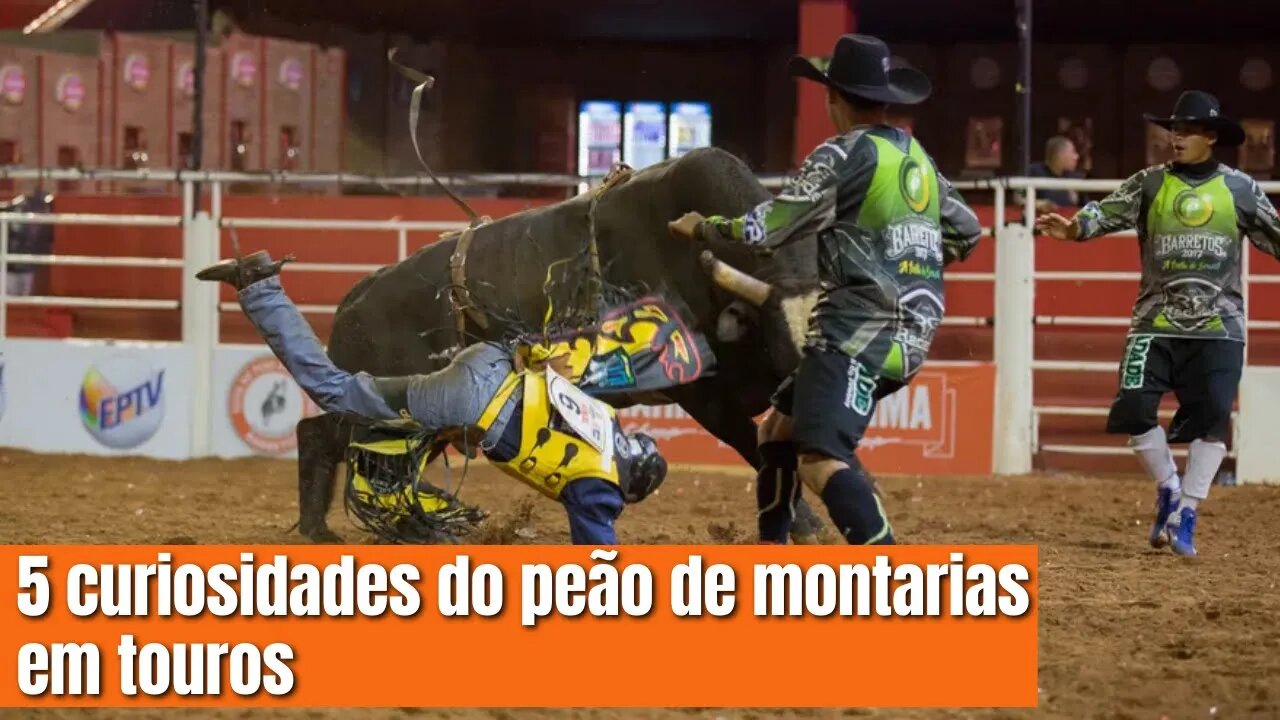 5 Curiosidades de montadores de touro