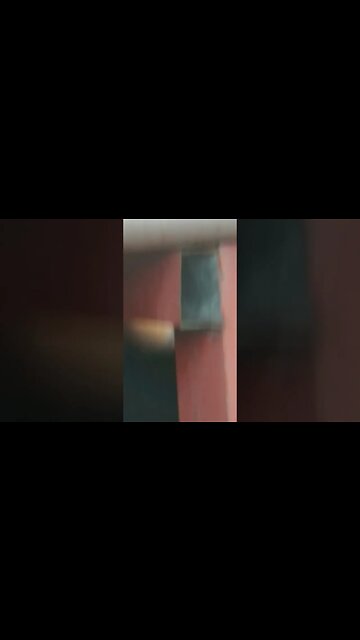 Dinner Time for Baby Sparrow