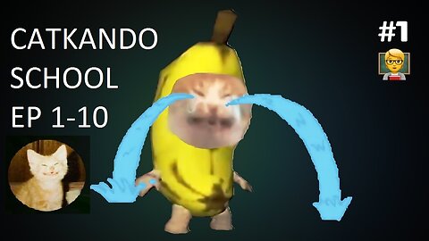 CATLANDO SCHOOL COMPILATION