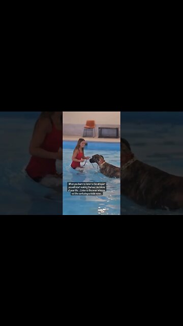 Listen to the Whispers.. Not the screaming. #dog #dogtraining #dogtrainer #traineddogs