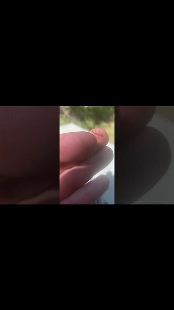 He thinks he is a badass