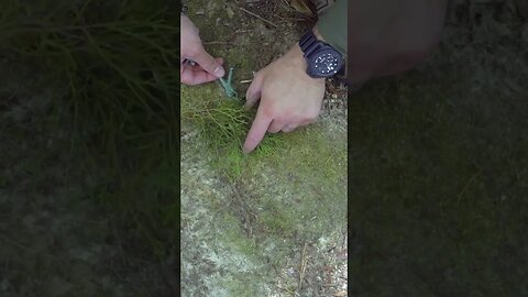 Escape & Evasion/Ambush Tactic