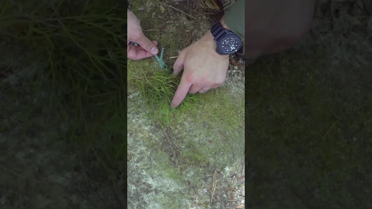 Escape & Evasion/Ambush Tactic