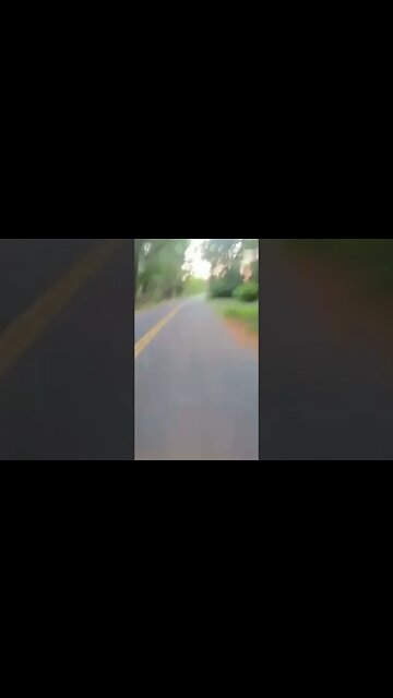 MT09 WHEELIE (SCARY)