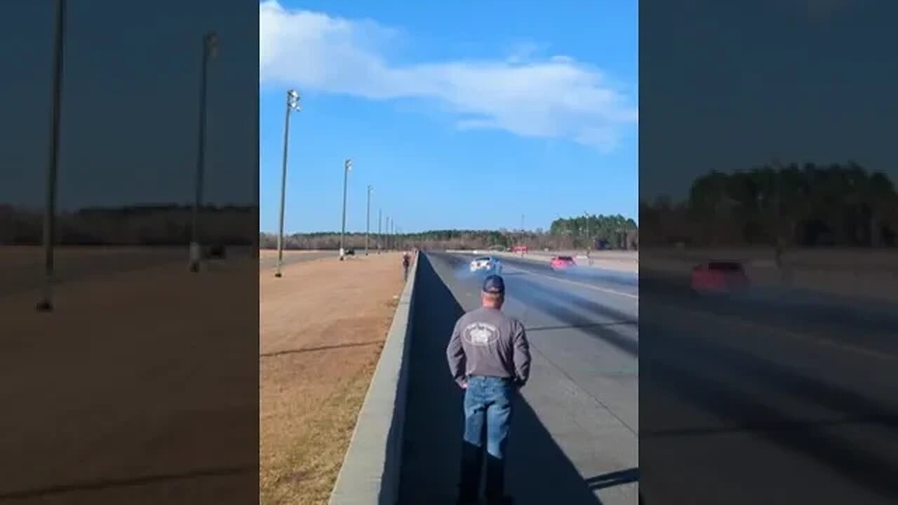 Mustangs being Mustangs
