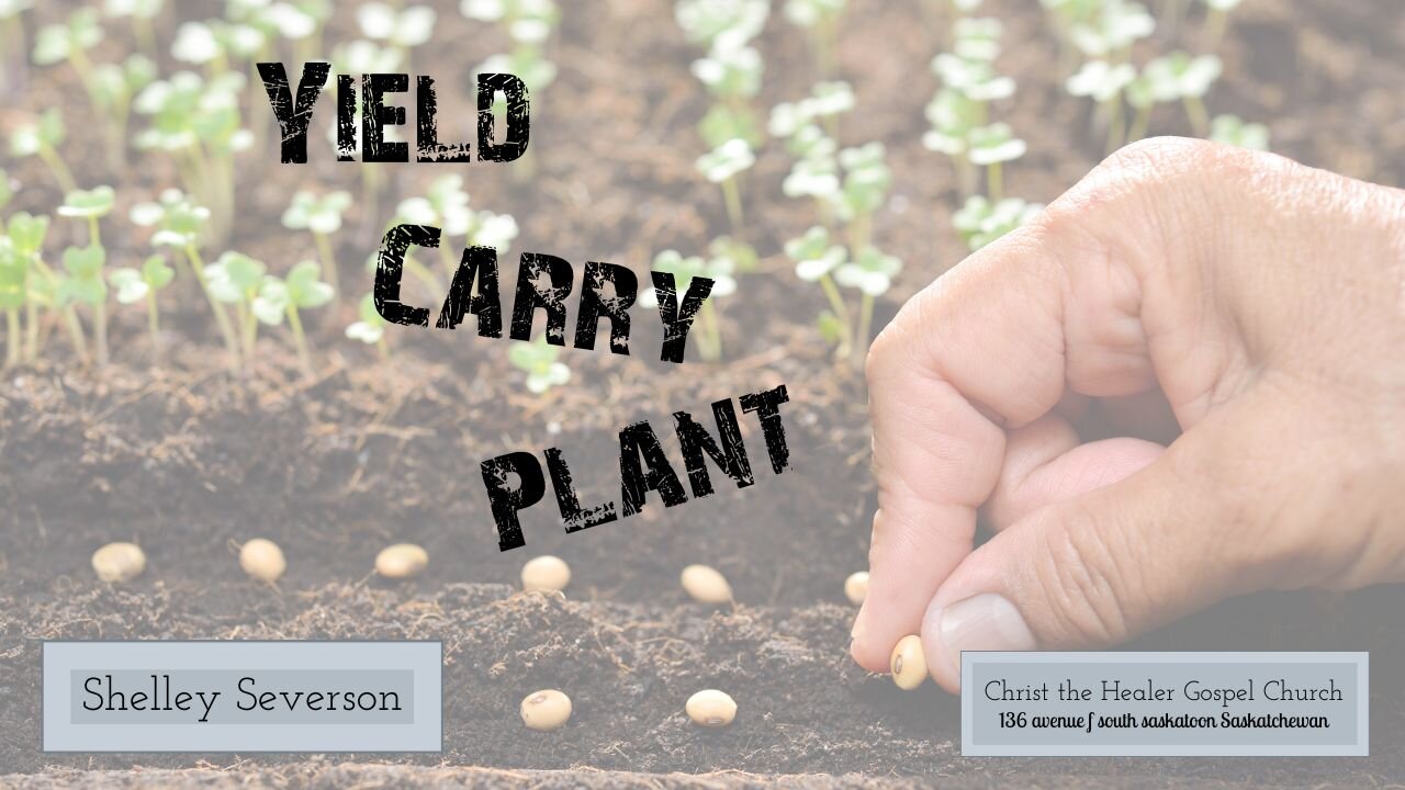 Yield, Carry and Plant - Shelley Severson - October 2 AM