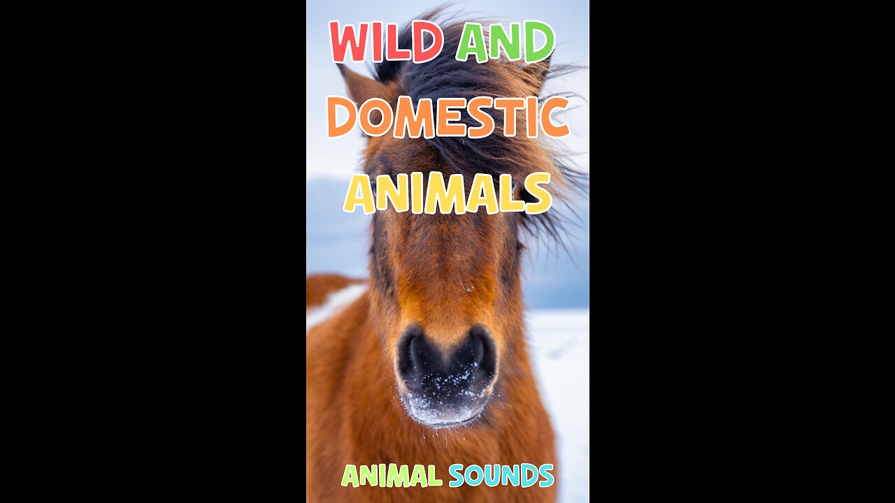 Discover the World of Animals: Talking Flashcards for Kids - Wild and Domestic