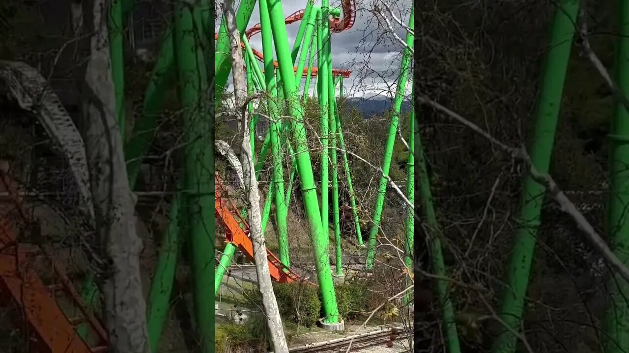 Would YOU Ride This INTENSE Roller Coaster? #shorts