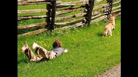 Dog Mistakes Furry Hood For a Toy & Drags Owner Around The Backyard | RingTV