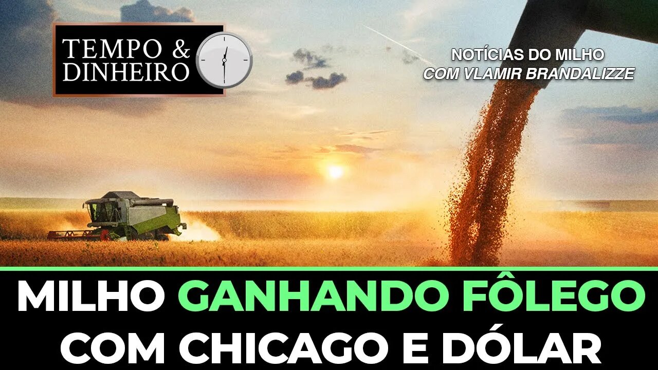 Milho ganhando fôlego com Chicago e dólar