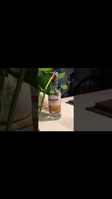 The Water of New Life