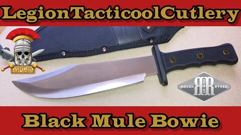 Rough Ryder Black Mule Bowie! Like, Share, Subscribe, Comment, Shout Out! Hit the like button!