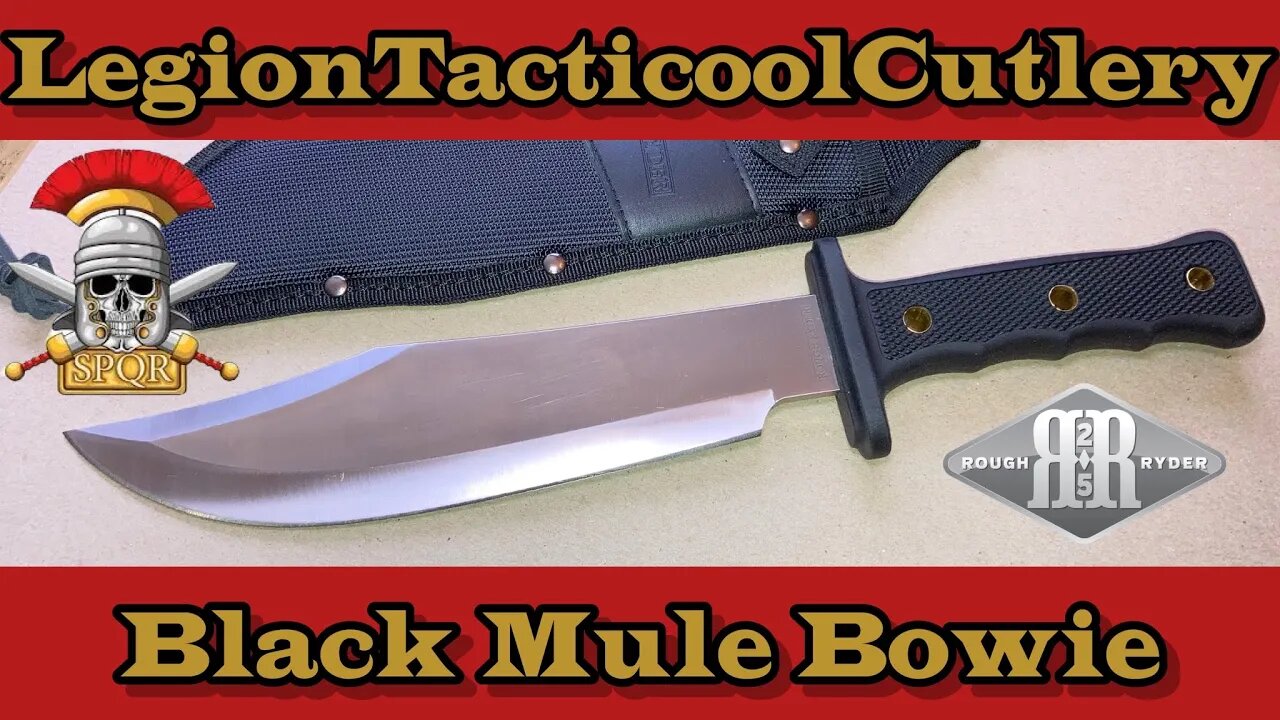 Rough Ryder Black Mule Bowie! Like, Share, Subscribe, Comment, Shout Out! Hit the like button!