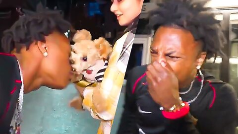 iShowSpeed Gets BIT BY A DOG In South Korea