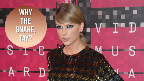 Decoding Taylor Swift's ominous snake video