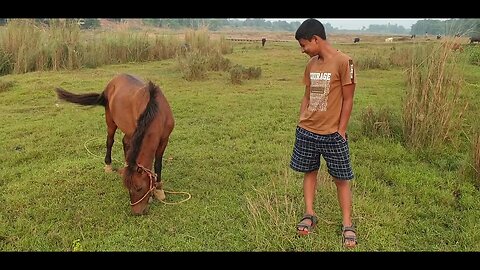 SONARPARA JIBON AND HORSE