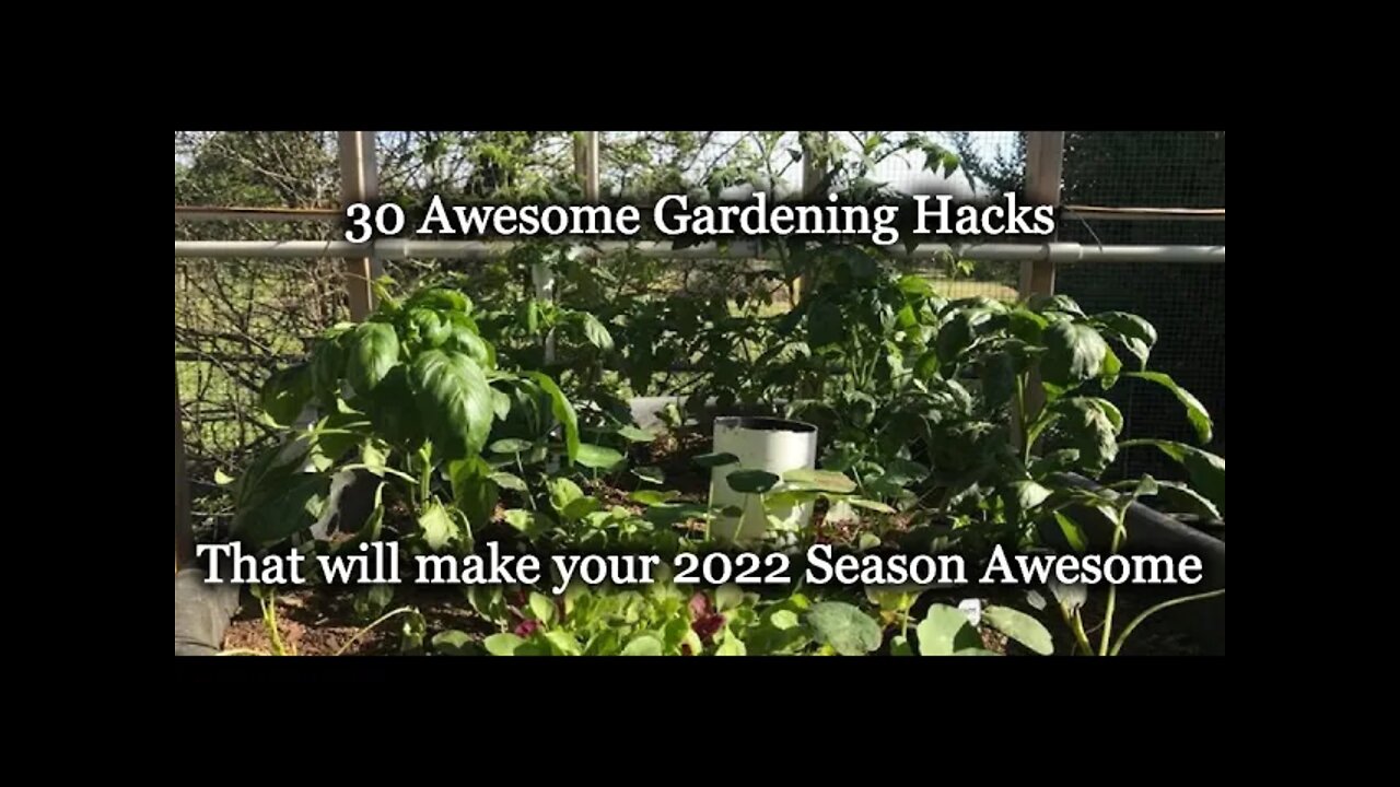 30 Awesome Gardening Hacks - Epi-3018