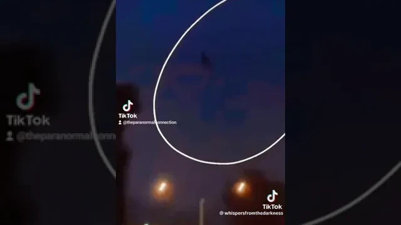 Weird things caught on camera.