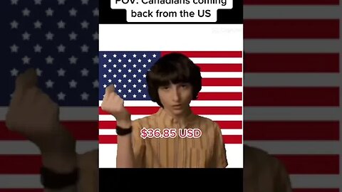 Pov Canadians Coming Back From The Us 📸 Kristinabadleyy #Shorts