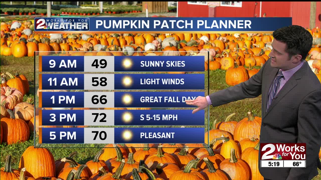 Saturday Night Forecast