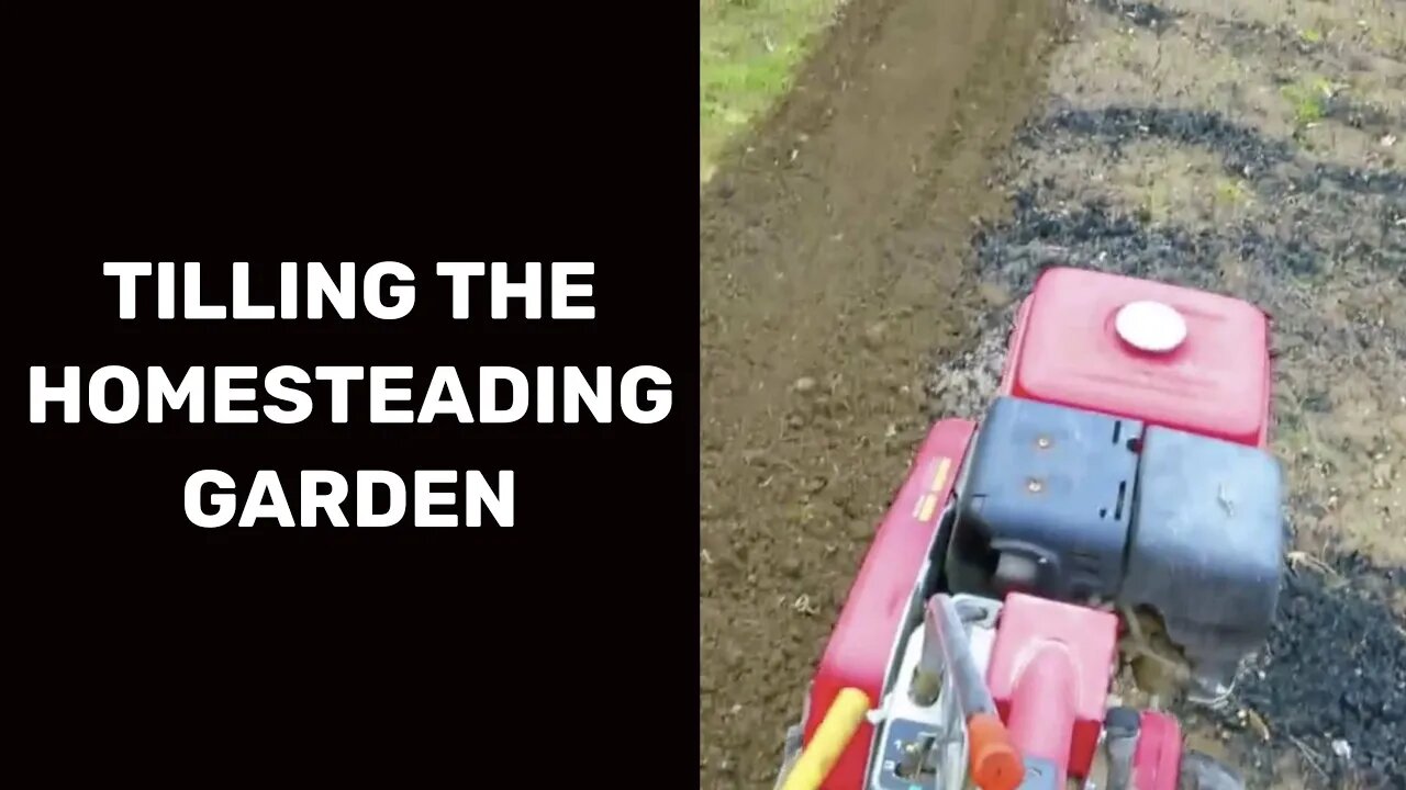 Tilling the Homesteading Garden