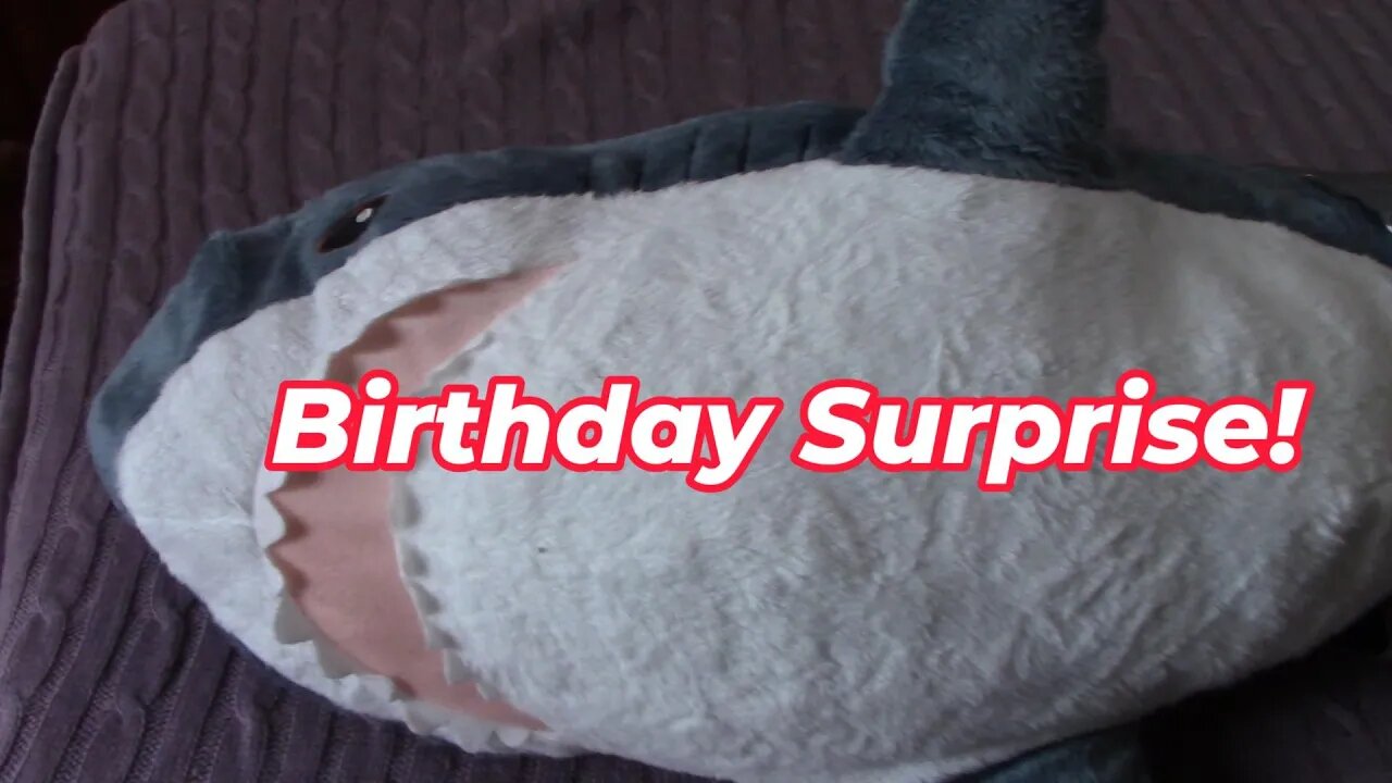 Adrienne's Birthday Surprise! 🎂