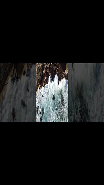 RANDOM FACTS! For The Curious Mind Vid #3 #Shorts #Facts