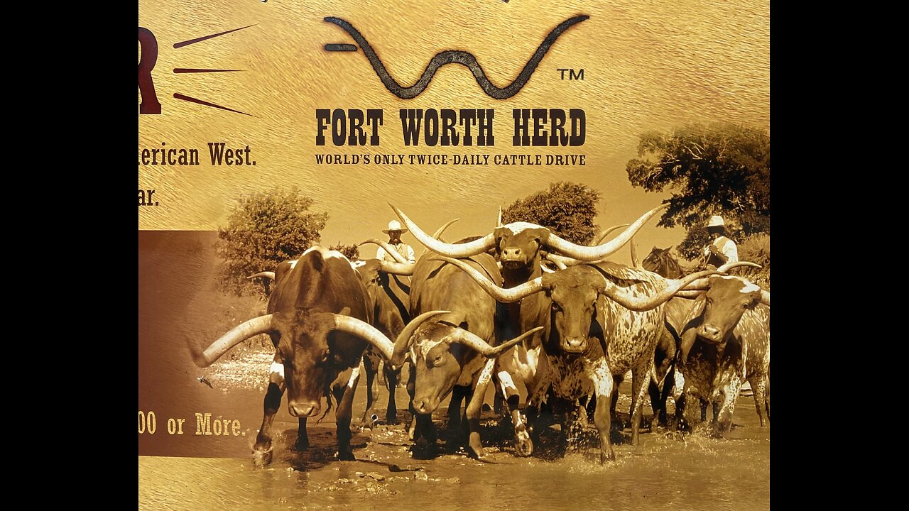 Stockyard cattle drive, Fort Worth, Texas