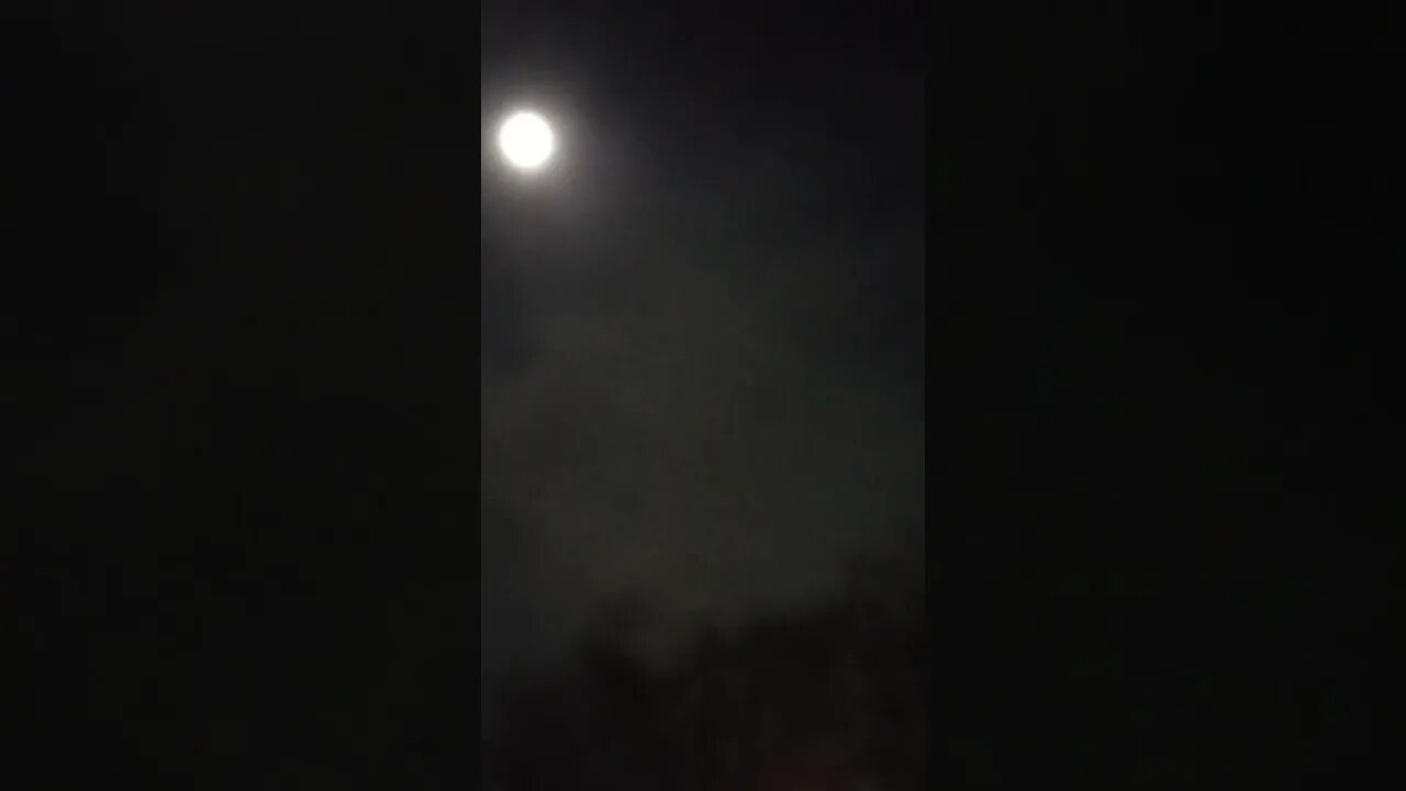 Tagging up the L.A. Skies even at Night