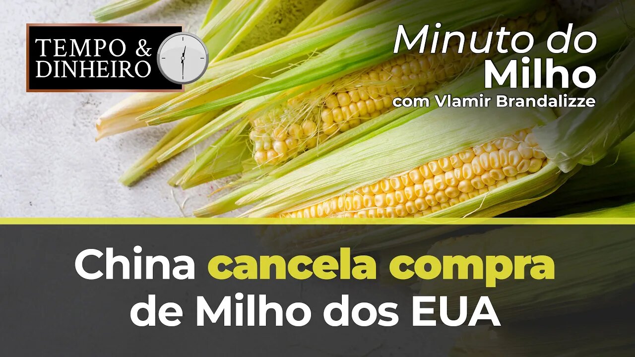 China cancela compra de Milho dos EUA