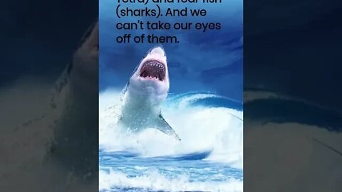 10 Most Popular Animals in the World #5, #shorts.