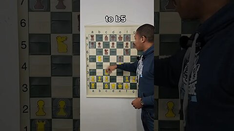 This Chess Game ENDED in 11 Moves!