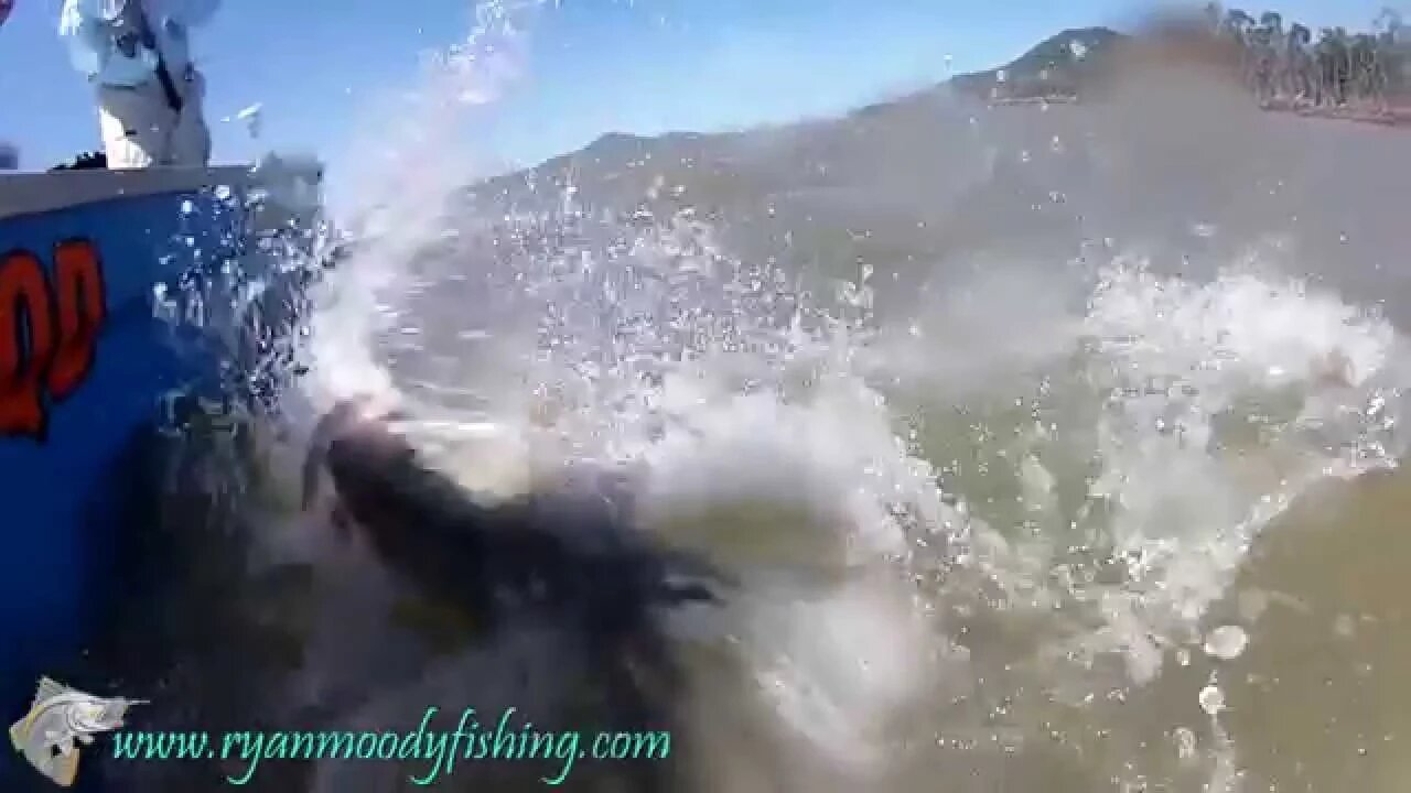 Big Barra 10 showcasing Ryan Moody barra fishing charters in Queensland