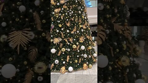 🎄 Merry Christmas - Australia || PACIFIC FAIR SHOPPING CENTRE