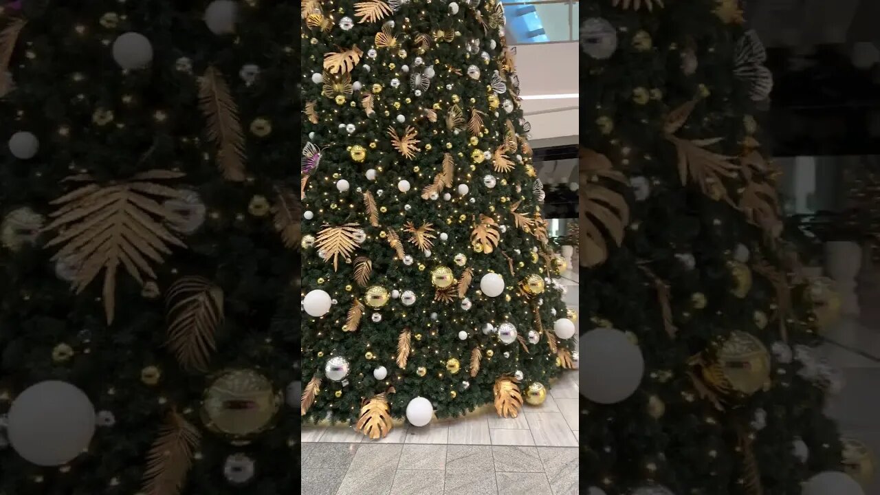 🎄 Merry Christmas - Australia || PACIFIC FAIR SHOPPING CENTRE